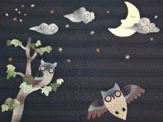 New project - Owl, the good fortune