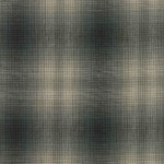 Yarn dyed Fabric [AS02-11]
