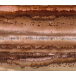 Landscape painting - Brown