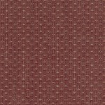 Yarn dyed Fabric [DY1105-6]