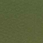 Yarn dyed Fabric [DY1202-17]