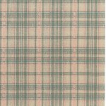 Yarn dyed Fabric [DY1304-2]
