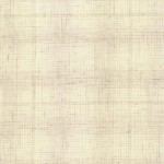 Yarn dyed Fabric [DY1402-1]
