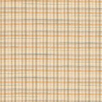 Yarn dyed Fabric [DY1603-2]
