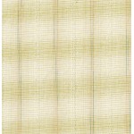 Yarn dyed Fabric [DY1701-4]