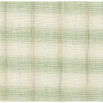 Yarn dyed Fabric [DY1701-6]